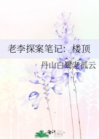 老李探案笔记：楼顶